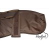 Brown Whippet coat